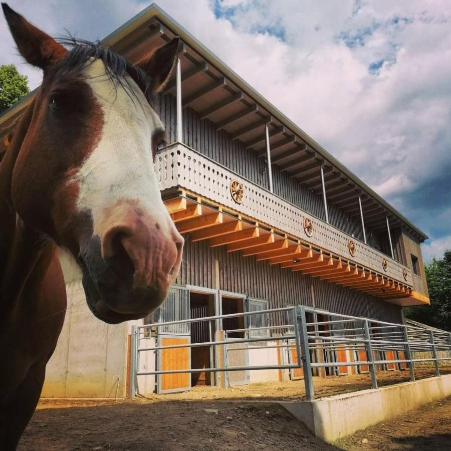 Erlebnisbauernhof Gutschi Ranch Kamp Extérieur photo