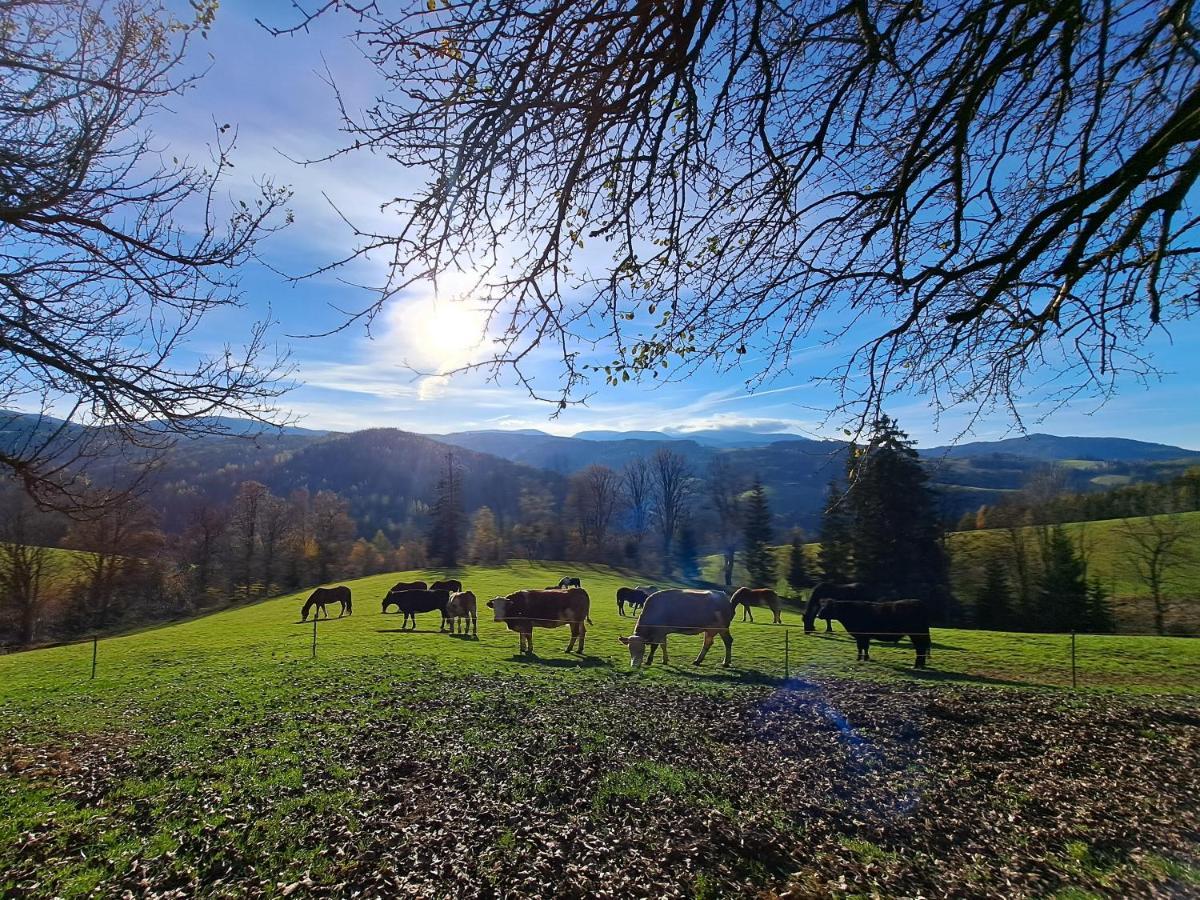 Erlebnisbauernhof Gutschi Ranch Kamp Extérieur photo