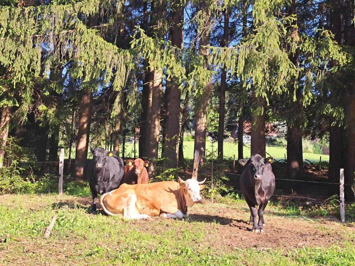 Erlebnisbauernhof Gutschi Ranch Kamp Extérieur photo